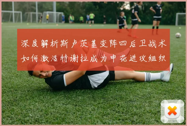 深度解析斯卢茨基变阵四后卫战术如何激活特谢拉成为申花进攻组织核心